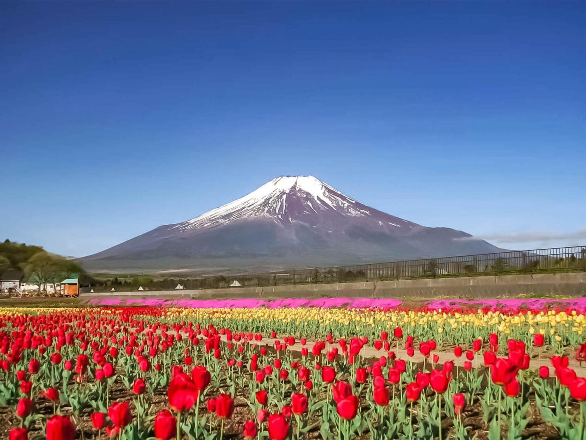 Minamitsuru-Gun - Hotel / Vacation Stay 45535 山中湖村 エクステリア 写真
